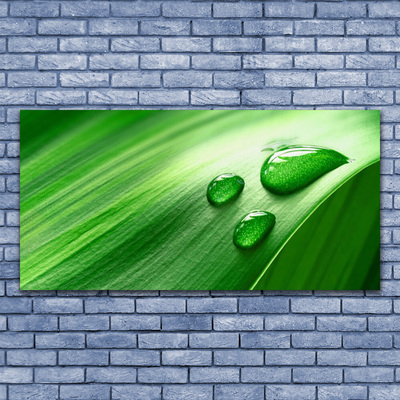 Glass Print Leaf water droplets floral green