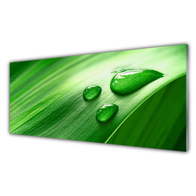 Glass Print Leaf water droplets floral green