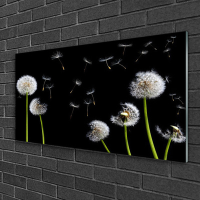 Glass Print Dandelions floral black green white