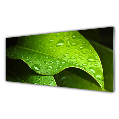 Glass Print Dew drops leaf floral green