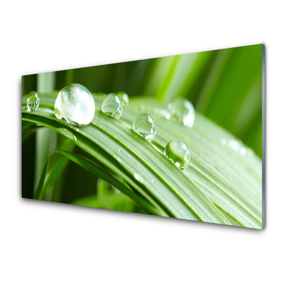 Glass Print Leaf dew drops floral green