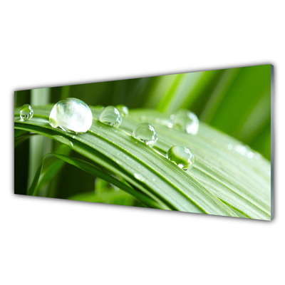Glass Print Leaf dew drops floral green