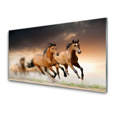 Glass Print Horses animals brown