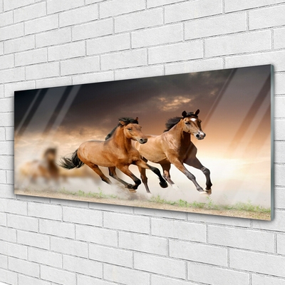 Glass Print Horses animals brown