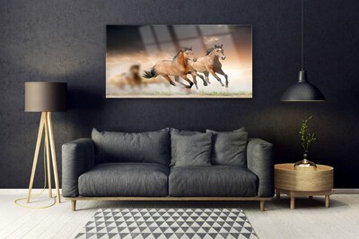 Glass Print Horses animals brown