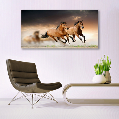 Glass Print Horses animals brown