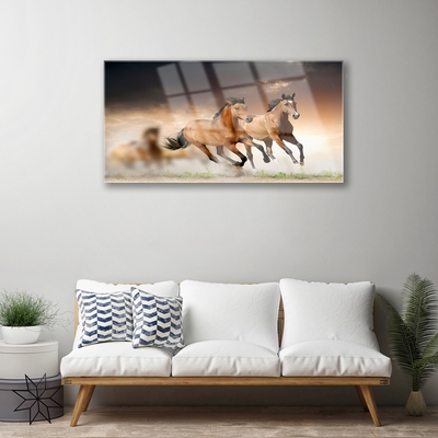 Glass Print Horses animals brown