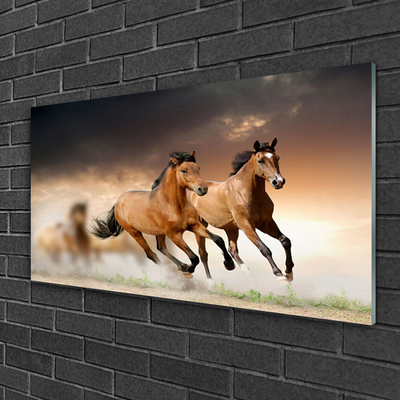 Glass Print Horses animals brown