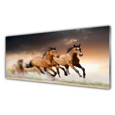 Glass Print Horses animals brown