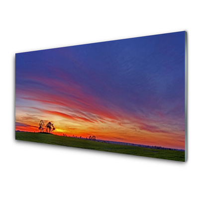 Glass Print Landscape field trees nature blue purple red yellow