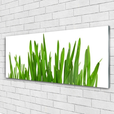 Glass Print Grass floral green white