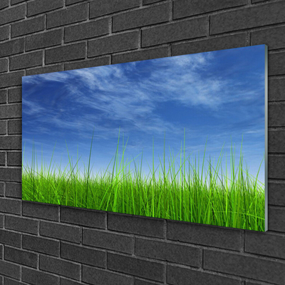 Glass Print Sky grass nature blue green