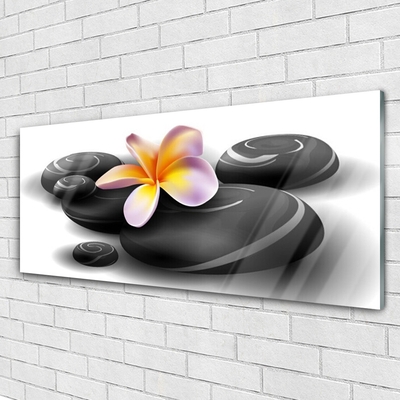 Glass Print Flower stones nature black yellow purple grey