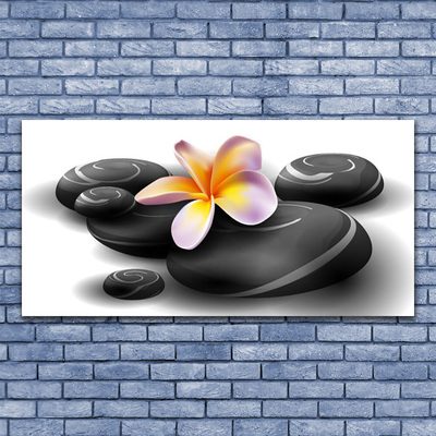 Glass Print Flower stones nature black yellow purple grey