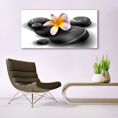 Glass Print Flower stones nature black yellow purple grey