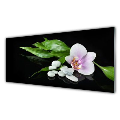 Glass Print Flower stones leaves floral white pink green black