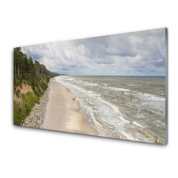 Glass Print Beach sea tree nature grey green white