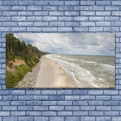 Glass Print Beach sea tree nature grey green white