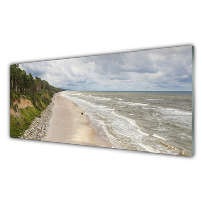 Glass Print Beach sea tree nature grey green white