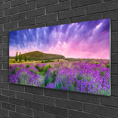 Glass Print Meadow flowers mountains nature green purple blue pink
