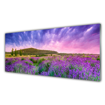 Glass Print Meadow flowers mountains nature green purple blue pink
