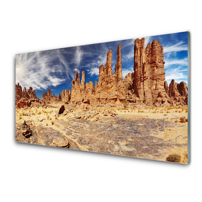 Glass Print Desert landscape brown white blue