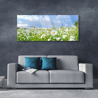 Glass Print Meadow daisies nature white yellow green blue