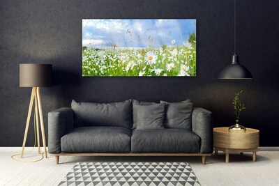 Glass Print Meadow daisies nature white yellow green blue