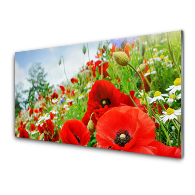 Glass Print Flowers nature red green