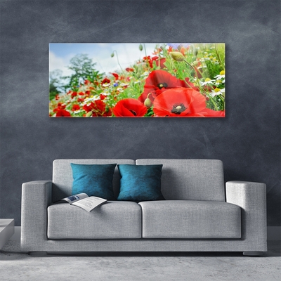 Glass Print Flowers nature red green