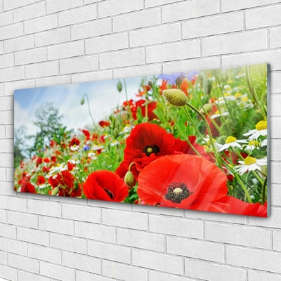 Glass Print Flowers nature red green