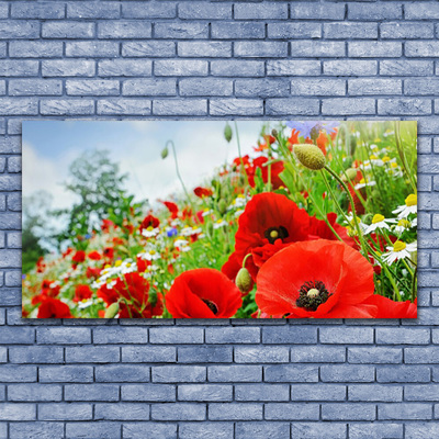 Glass Print Flowers nature red green