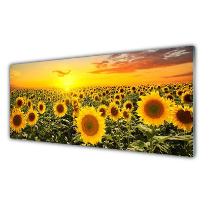 Glass Print Sunflowers floral yellow green
