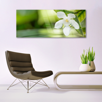 Glass Print Flower leaves floral white green