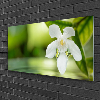 Glass Print Flower leaves floral white green