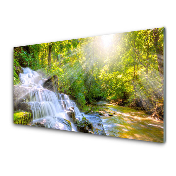 Glass Print Waterfall forest nature white brown green