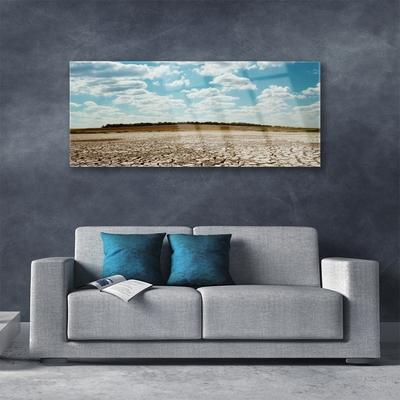 Glass Print Desert landscape grey green