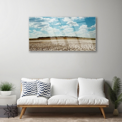 Glass Print Desert landscape grey green