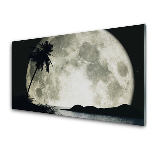 Glass Print Night moon palm landscape black grey white