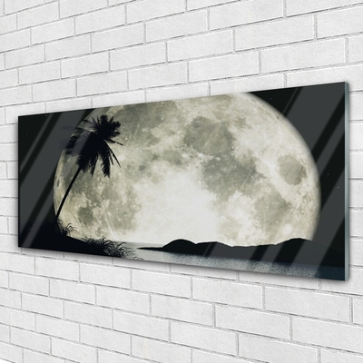 Glass Print Night moon palm landscape black grey white