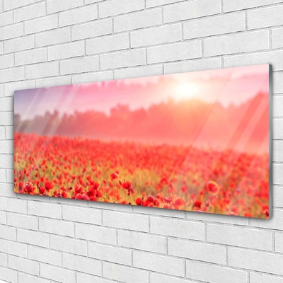 Glass Print Meadow flowers nature red green