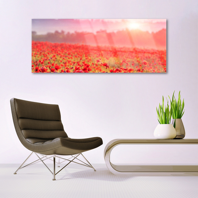 Glass Print Meadow flowers nature red green