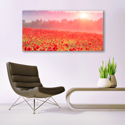 Glass Print Meadow flowers nature red green