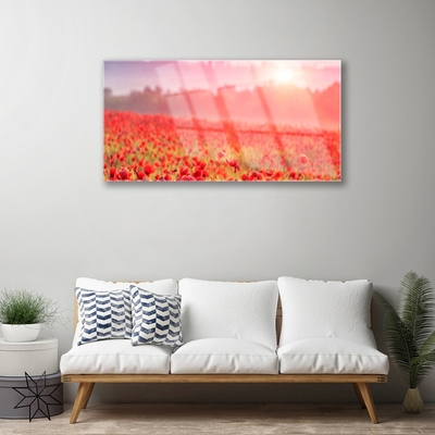 Glass Print Meadow flowers nature red green