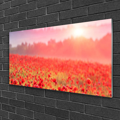 Glass Print Meadow flowers nature red green