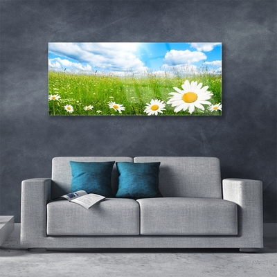 Glass Print Daisy grass nature white yellow green