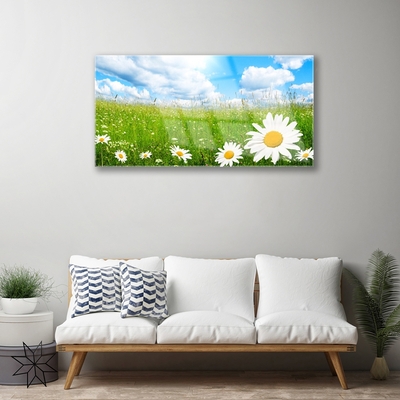 Glass Print Daisy grass nature white yellow green