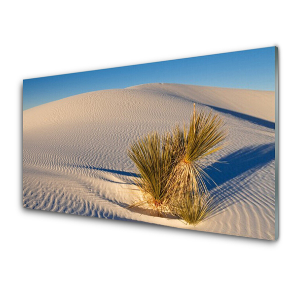 Glass Print Desert landscape brown green