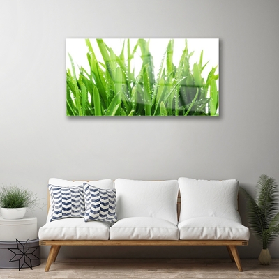 Glass Print Grass floral green