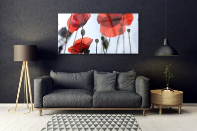 Glass Print Poppies floral red black